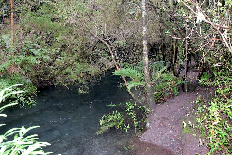 F088ap-962-1-Saltos del Petrohue-Rio-Petrohue-17-8-m.jpg